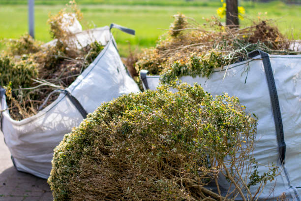 Best Furniture Removal Near Me  in Burton, MI